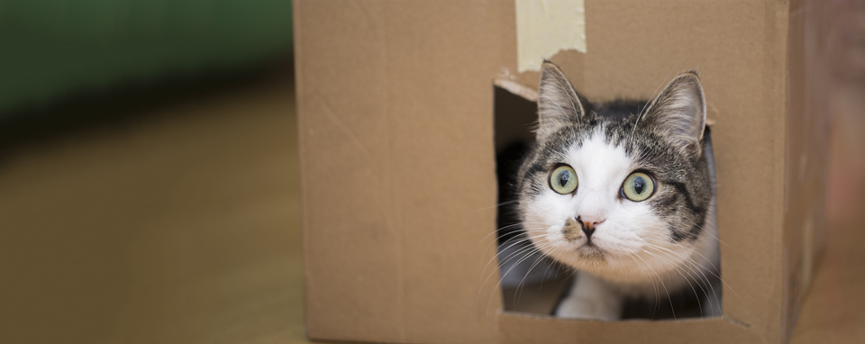 zero waste landfill purina petcare factories