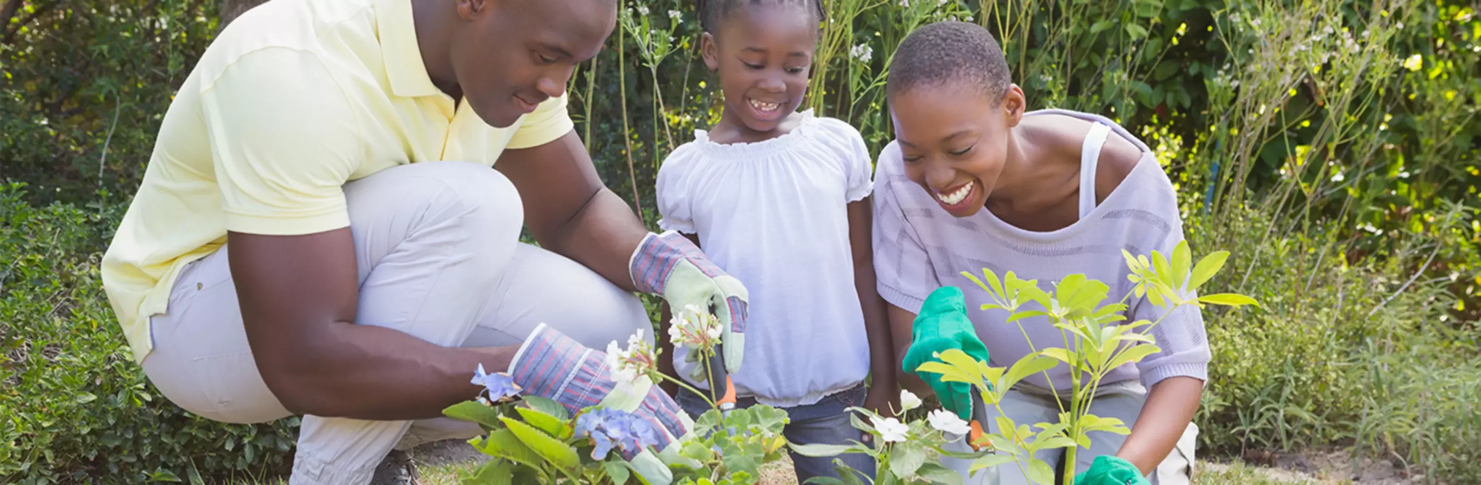 Grow Your Own
