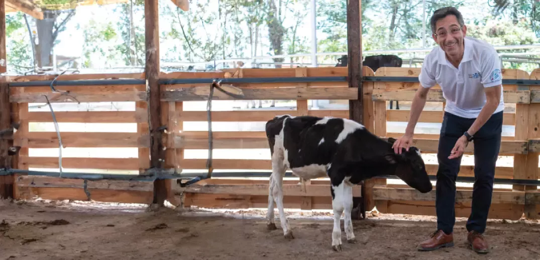 New life for dying dairy sector as Nestle unveils 'cow spa' in Turure.