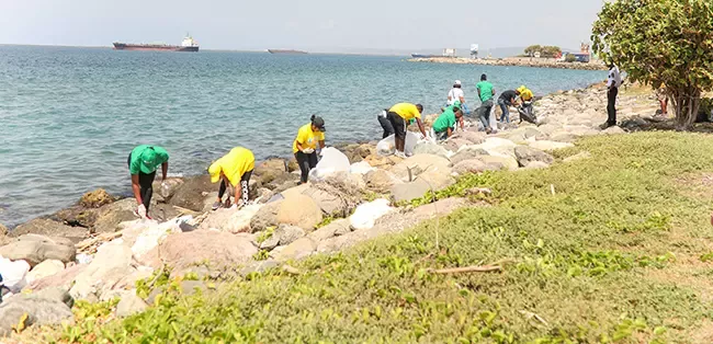 Nestlé Beach Cleanup
