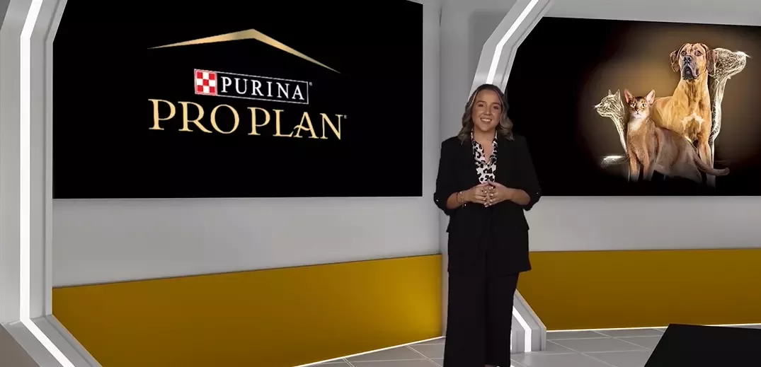 Pro Plan